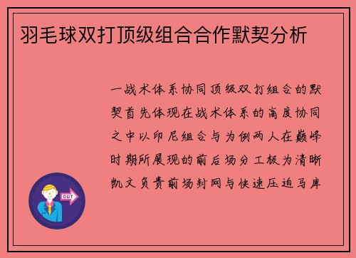 羽毛球双打顶级组合合作默契分析